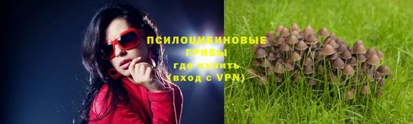 тгк Беломорск