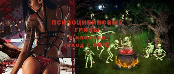 spice Белокуриха