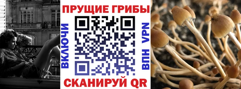 Псилоцибиновые грибы Magic Shrooms  купить наркотики сайты  Гаврилов-Ям 